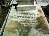 image of grave number 330550